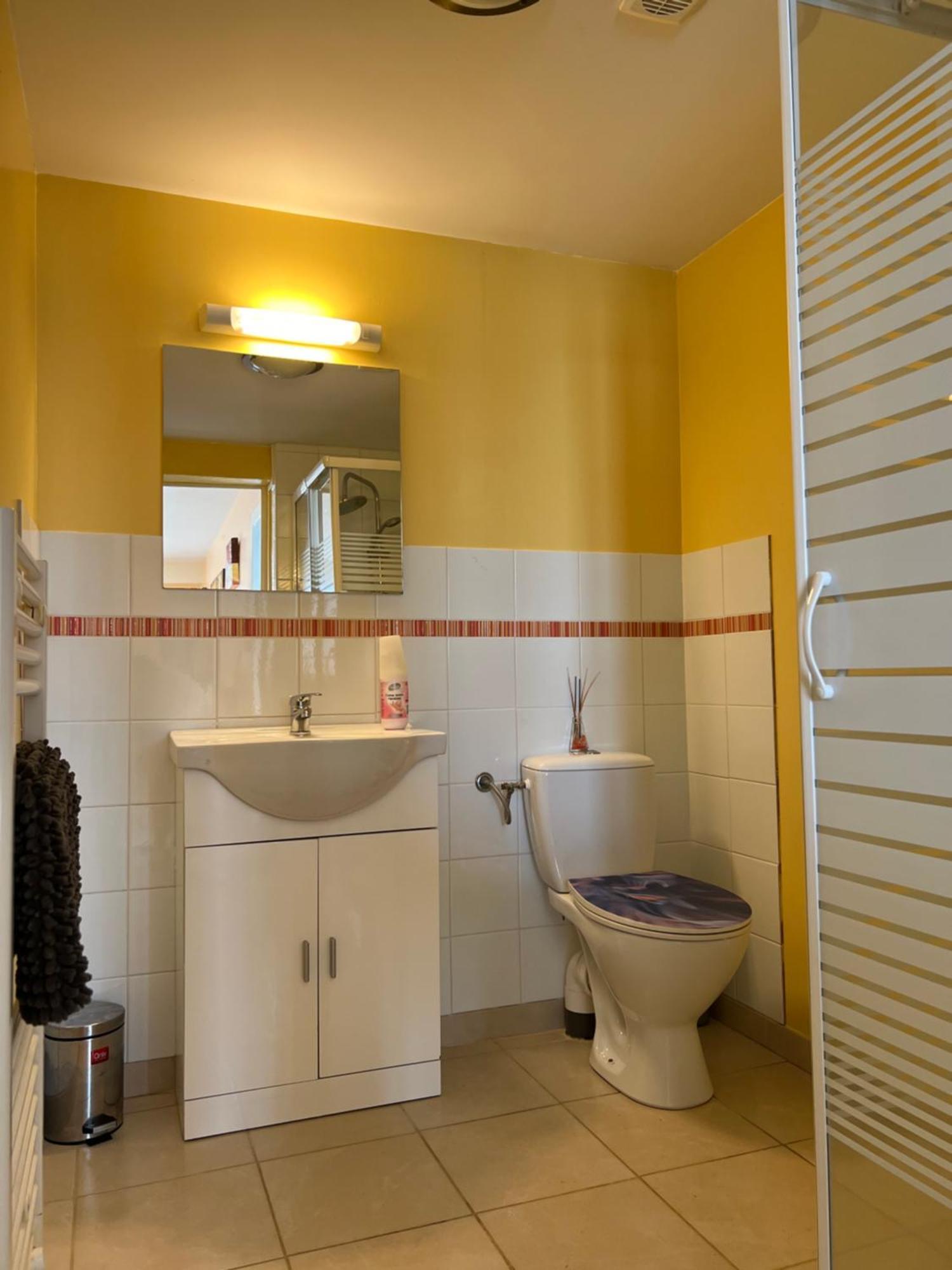 Gite Du St Martin Apartment Oradour-Fanais Ngoại thất bức ảnh